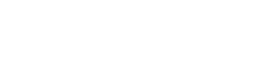 NEXT LEVEL RACING